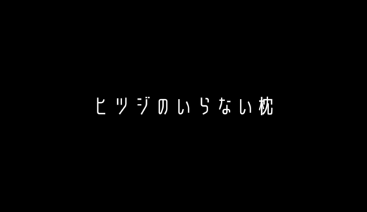 睡眠革命「ヒツジのいらない枕」で理想の寝心地を手に入れよう!